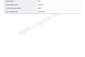 Check Cek NIB Nomor Induk Berusaha secara Online OSS RBA 2